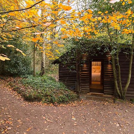 Pinetum Lodge Gloucester Szoba fotó