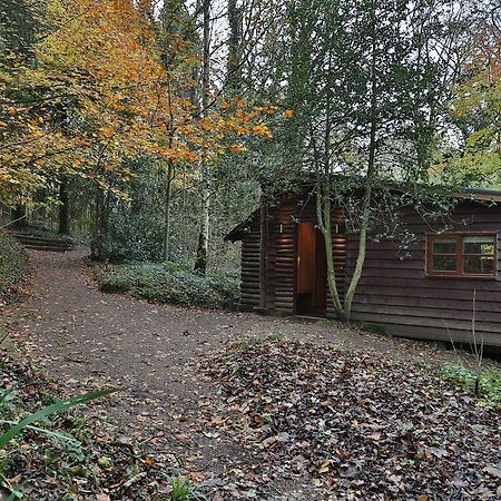 Pinetum Lodge Gloucester Szoba fotó